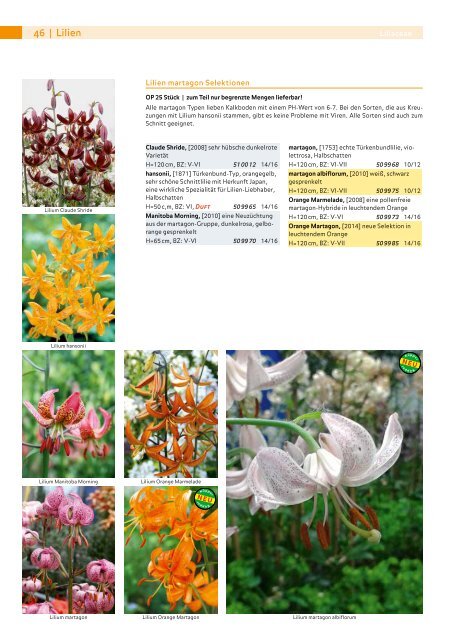 Blumenzwiebelbuch_Fruehjahr_2016-17