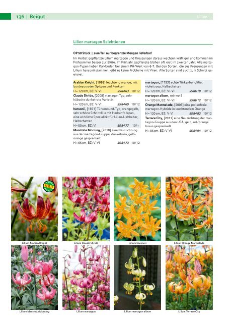 Küpper Katalog Herbst 2017