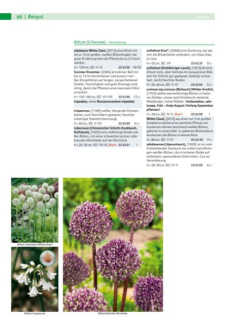 Küpper Katalog Herbst 2017