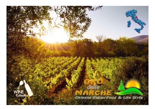 Brochure vini Oro delle Marche