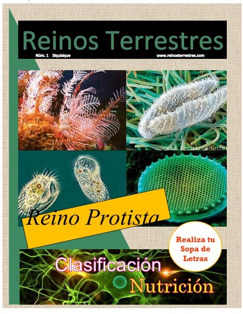 Revista 1 Reino Protista