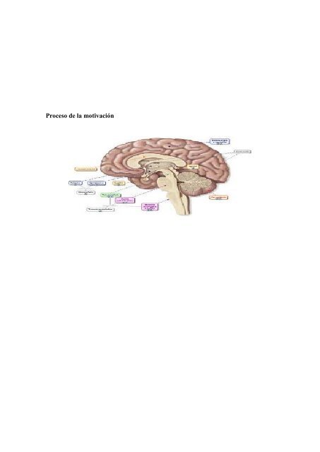 BORRADOR DEL TRABAJO DE PSICOFISIOLÓGICA