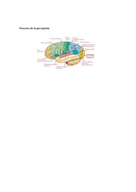 BORRADOR DEL TRABAJO DE PSICOFISIOLÓGICA