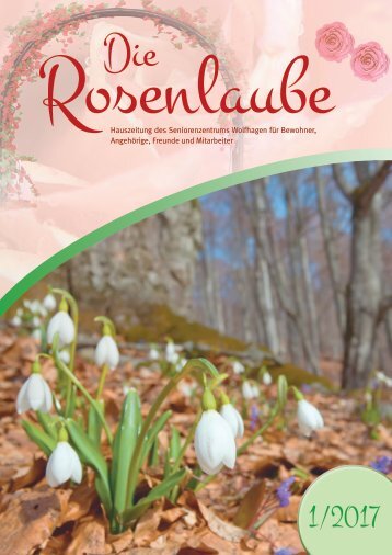 Rosenlaube 01-2017