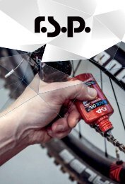 11 RSP_BIKEDIFUSION 2017-11