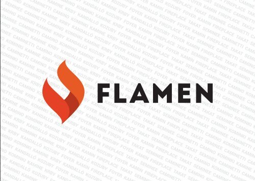 Katalog Flamen Wasserführende Kamineinsätze