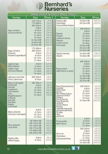 Bernhard's Nurseries Trade Price List 2107