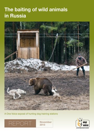 The baiting of wild animals in Russia