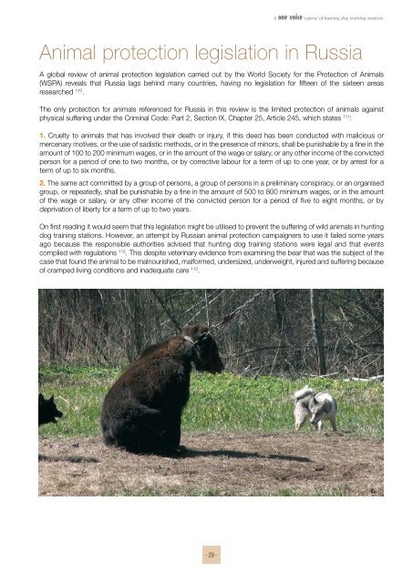 The baiting of wild animals in Russia