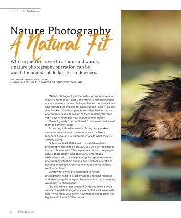 Nature Photography - A Natural Fit