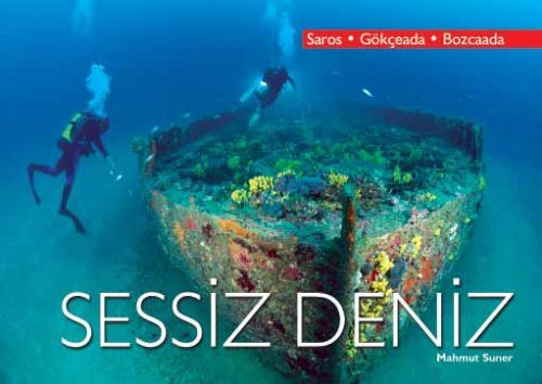 Sessiz Deniz