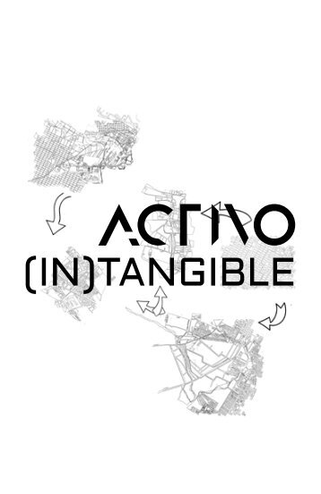 Catálogo-Activointangible