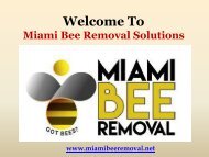 Bee Removal in Miami, Florida