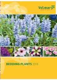 BEDDING PLANTS 2018