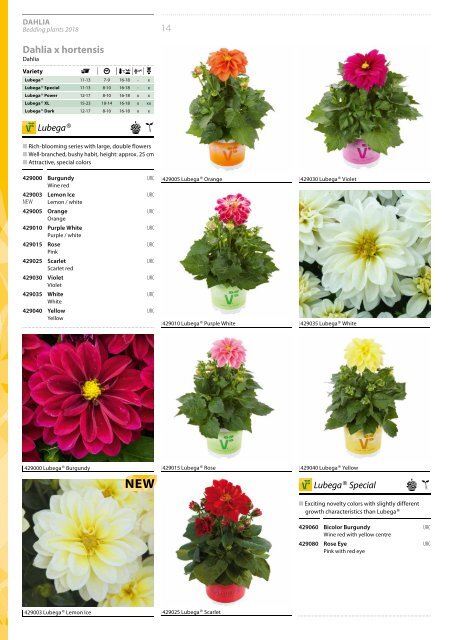 BEDDING PLANTS 2018