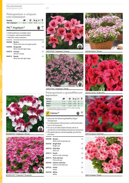 BEDDING PLANTS 2018