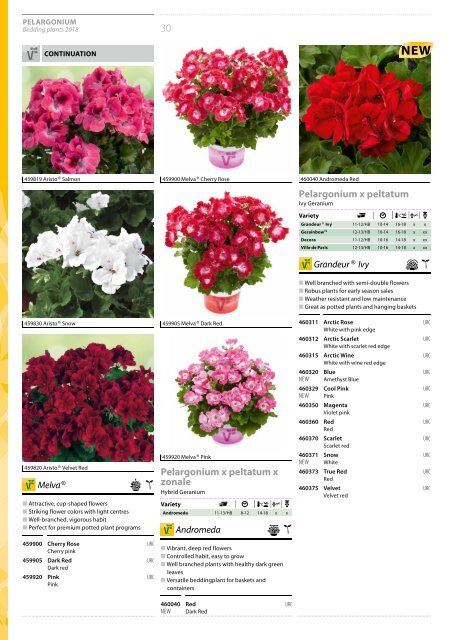 BEDDING PLANTS 2018