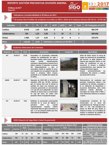 Reporte Gestión Preventiva DAND GSSO 28-03-2017 Folio 011