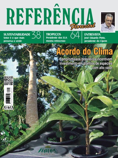 Colniza comemora 22 anos com parcerias do Governo do Estado em  infraestrutura, saúde e agricultura familiar - Primeira Hora