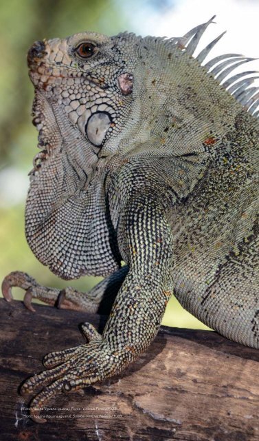 Relatório Anual - Zoológico de Brasíilia