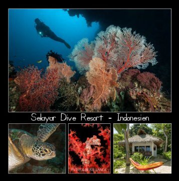 Selayar 2017