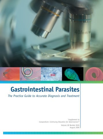 Gastrointestinal Parasites Practice Guide - IDEXX Laboratories