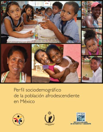 Perfil sociodemográfico de la población afrodescendiente en México