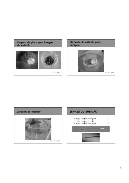 Aula FZEA_Biotécnica_TE_Guilherme Pugliesi