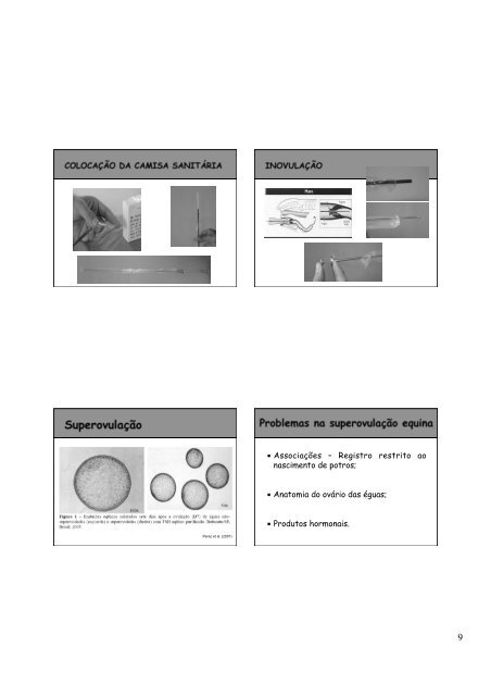 Aula FZEA_Biotécnica_TE_Guilherme Pugliesi