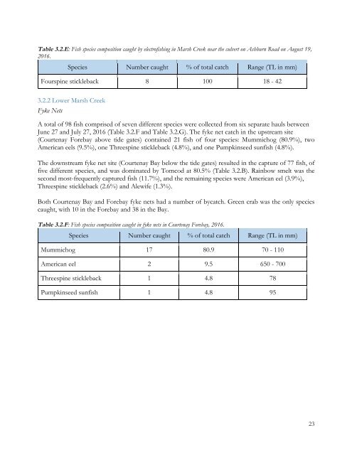 Rebirth of Water Report 2016-2017