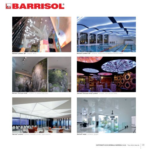 Barrisol Barricouleur - Catalog CULORI