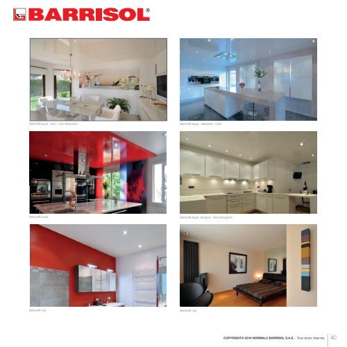 Barrisol Barricouleur - Catalog CULORI