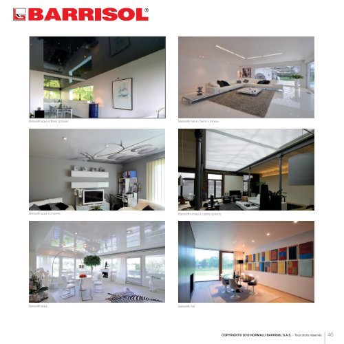 Barrisol Barricouleur - Catalog CULORI