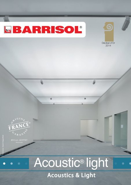 Barrisol Lumini Acustice