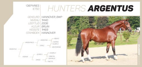 Hunters Studfarm Stallion Catalogue