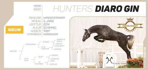 Hunters Studfarm Stallion Catalogue