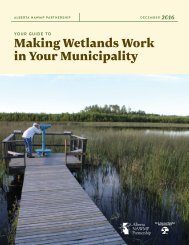 Making Wetlands Work in Your Municipality