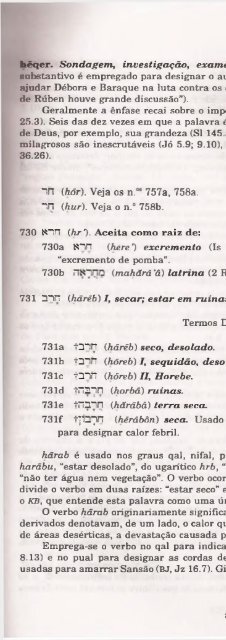 DICIONARIO INTERNACIONAL DO ANTIGO TESTAMENTO