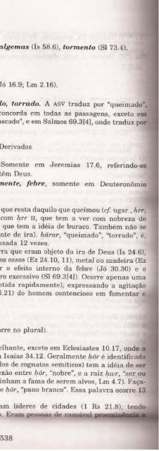 DICIONARIO INTERNACIONAL DO ANTIGO TESTAMENTO