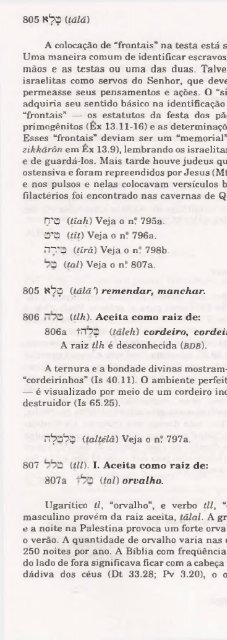 DICIONARIO INTERNACIONAL DO ANTIGO TESTAMENTO