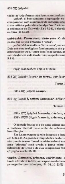 DICIONARIO INTERNACIONAL DO ANTIGO TESTAMENTO