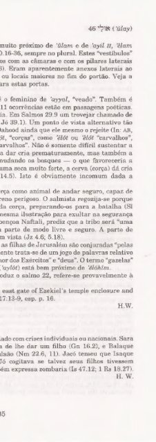 DICIONARIO INTERNACIONAL DO ANTIGO TESTAMENTO