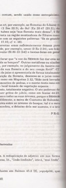 DICIONARIO INTERNACIONAL DO ANTIGO TESTAMENTO