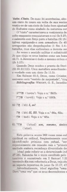 DICIONARIO INTERNACIONAL DO ANTIGO TESTAMENTO