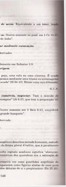 DICIONARIO INTERNACIONAL DO ANTIGO TESTAMENTO