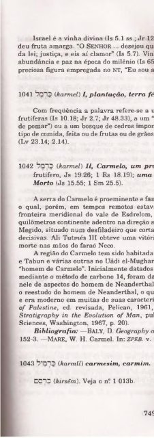 DICIONARIO INTERNACIONAL DO ANTIGO TESTAMENTO