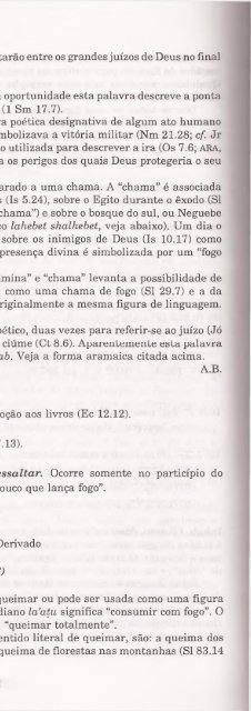 DICIONARIO INTERNACIONAL DO ANTIGO TESTAMENTO