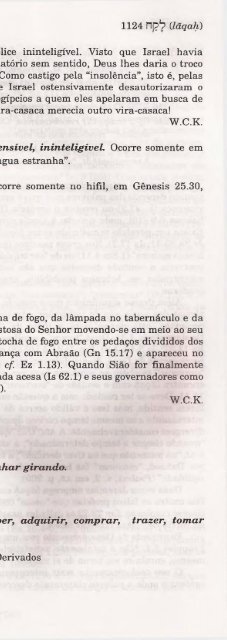 DICIONARIO INTERNACIONAL DO ANTIGO TESTAMENTO