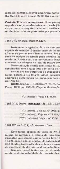 DICIONARIO INTERNACIONAL DO ANTIGO TESTAMENTO