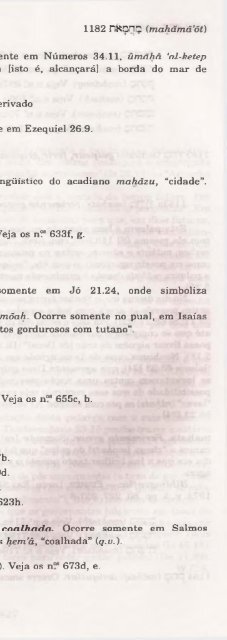 DICIONARIO INTERNACIONAL DO ANTIGO TESTAMENTO